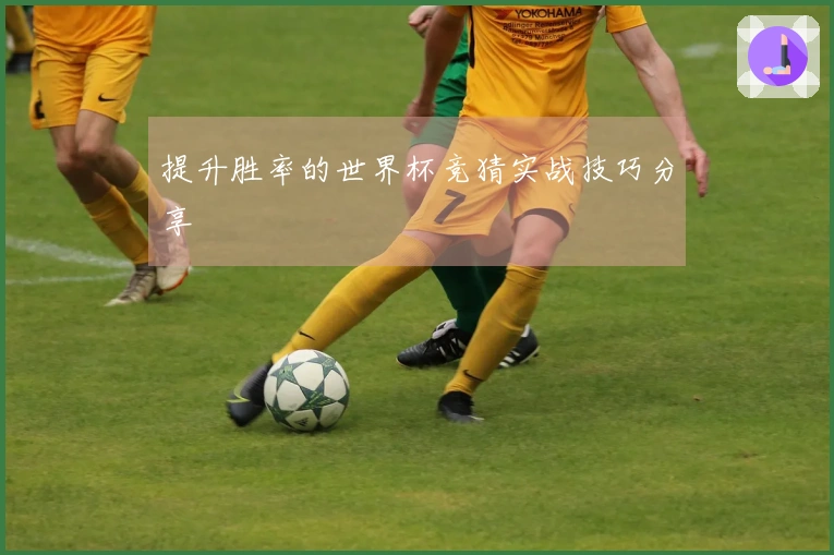 提升胜率的世界杯竞猜实战技巧分享