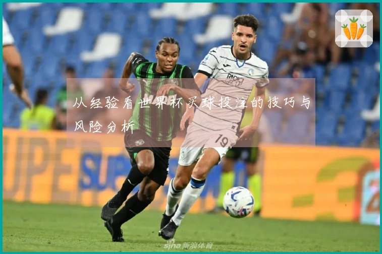 从经验看世界杯买球投注的技巧与风险分析