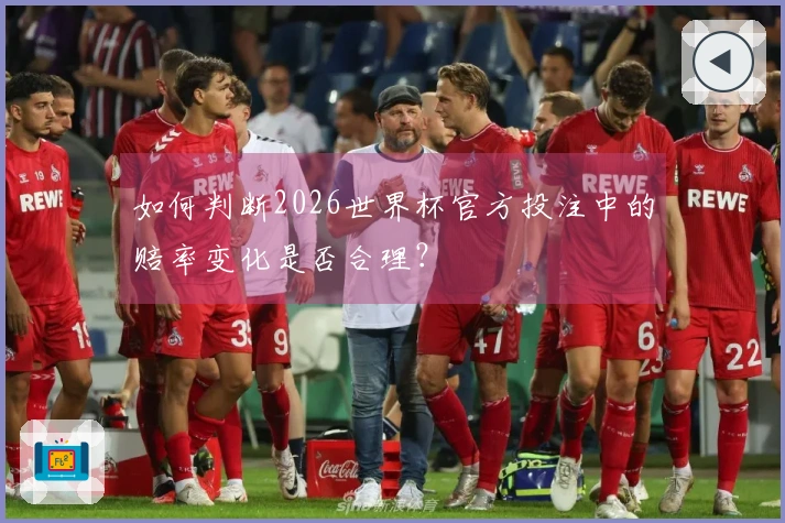 如何判断2026世界杯官方投注中的赔率变化是否合理？