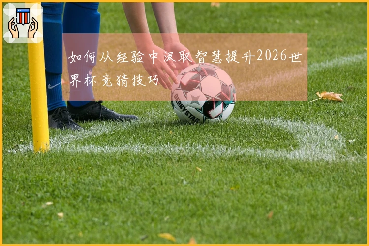 如何从经验中汲取智慧提升2026世界杯竞猜技巧