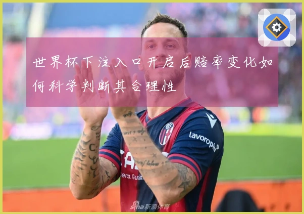 世界杯下注入口开启后赔率变化如何科学判断其合理性