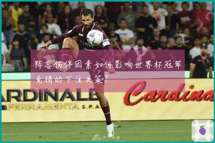 阵容伤停因素如何影响世界杯冠军竞猜的下注决策？