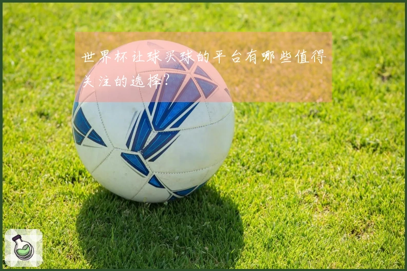 世界杯让球买球的平台有哪些值得关注的选择？