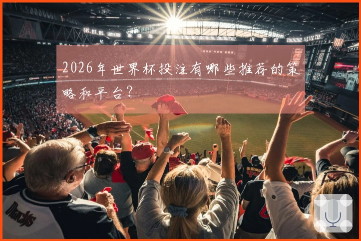 2026年世界杯投注有哪些推荐的策略和平台？
