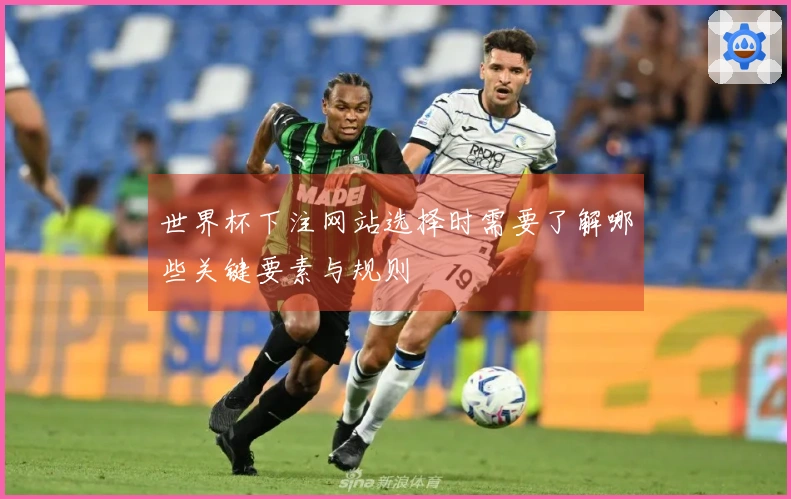 世界杯下注网站选择时需要了解哪些关键要素与规则
