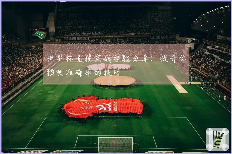 世界杯竞猜实战经验分享：提升你预测准确率的技巧