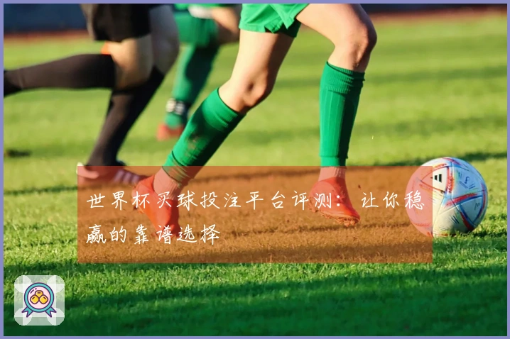 世界杯买球投注平台评测：让你稳赢的靠谱选择