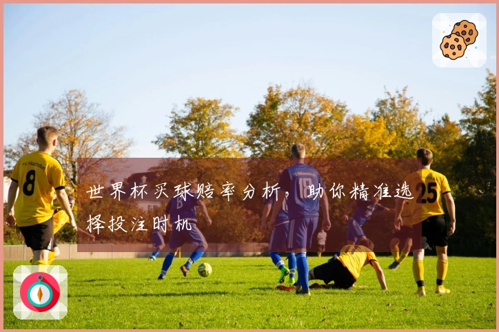 世界杯买球赔率分析，助你精准选择投注时机
