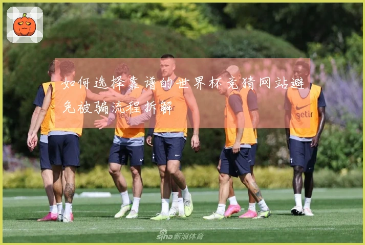 如何选择靠谱的世界杯竞猜网站避免被骗流程拆解
