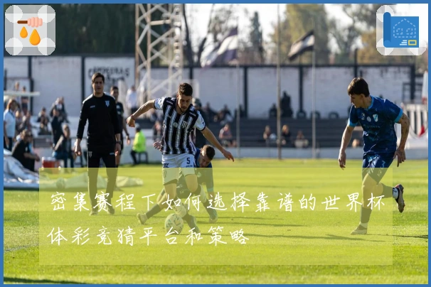 密集赛程下如何选择靠谱的世界杯体彩竞猜平台和策略