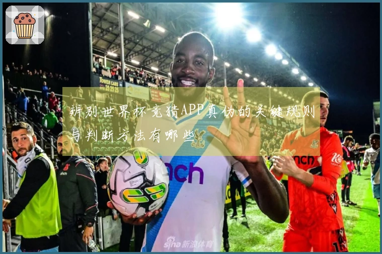 辨别世界杯竞猜APP真伪的关键规则与判断方法有哪些