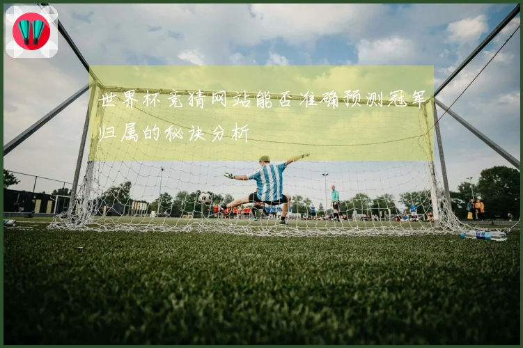 世界杯竞猜网站能否准确预测冠军归属的秘诀分析