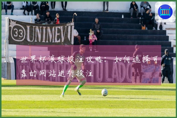 世界杯滚球投注攻略：如何选择可靠的网站进行投注