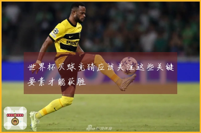 世界杯买球竞猜应该关注这些关键要素才能获胜