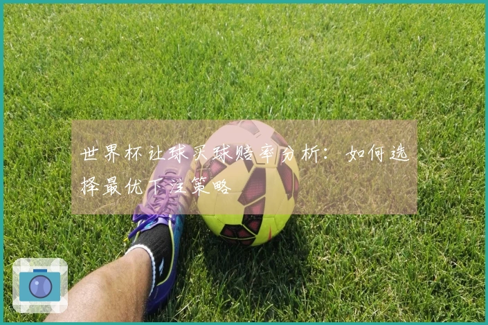 世界杯让球买球赔率分析：如何选择最优下注策略