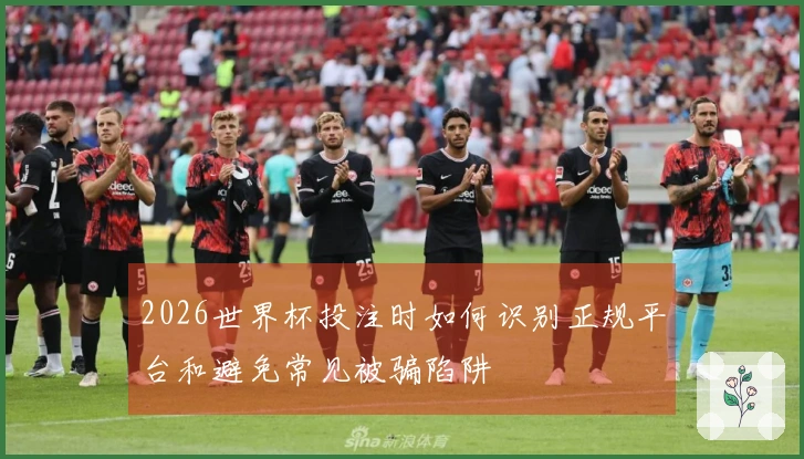 2026世界杯投注时如何识别正规平台和避免常见被骗陷阱