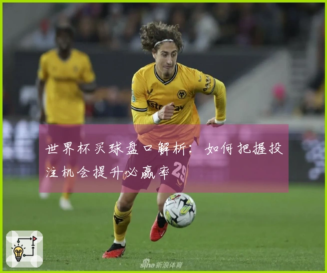 世界杯买球盘口解析：如何把握投注机会提升必赢率