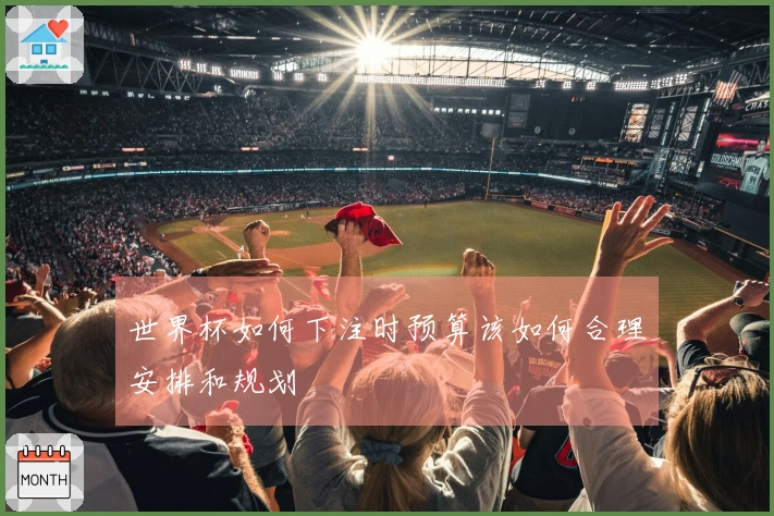 世界杯如何下注时预算该如何合理安排和规划