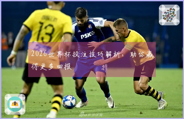 2026世界杯投注技巧解析，助你赢得更多回报