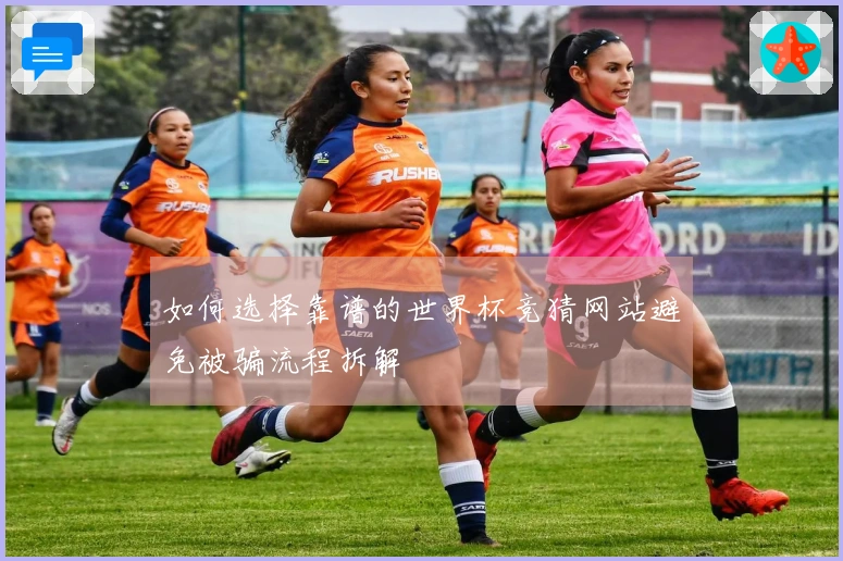 如何选择靠谱的世界杯竞猜网站避免被骗流程拆解
