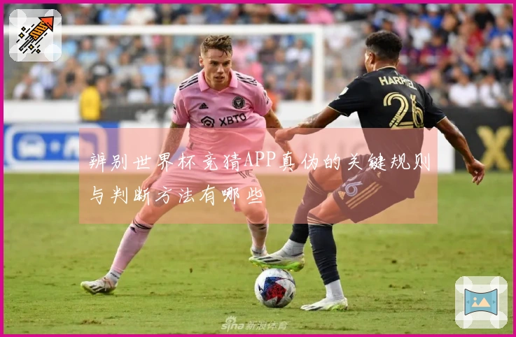 辨别世界杯竞猜APP真伪的关键规则与判断方法有哪些