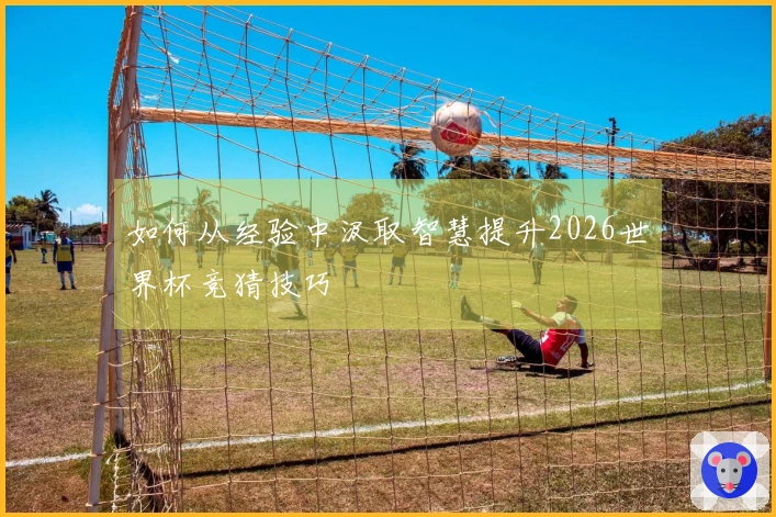 如何从经验中汲取智慧提升2026世界杯竞猜技巧