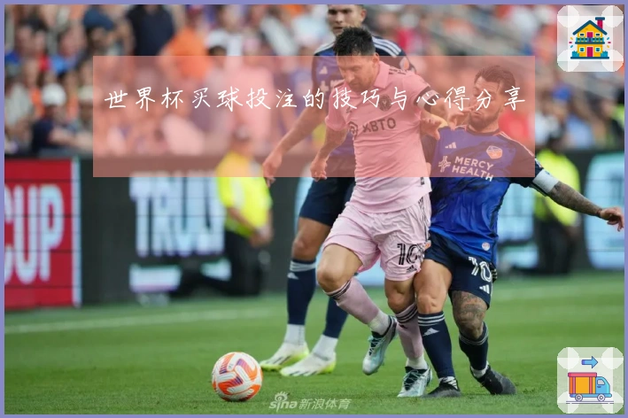 世界杯买球投注的技巧与心得分享