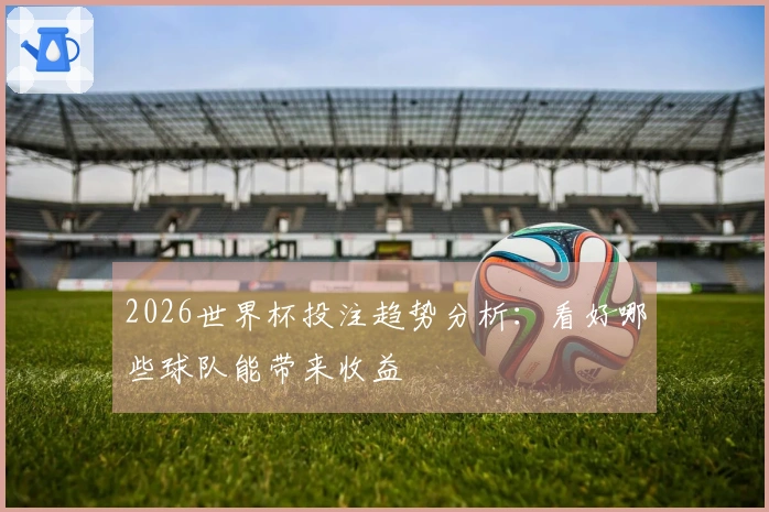2026世界杯投注趋势分析：看好哪些球队能带来收益